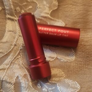 nwt Perfect Pout Butter Balm Lip Tint - shade power